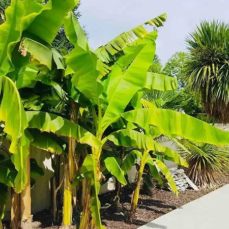 Bassin D'arcachon: Maison Agreable Avec Jardin! * Mios