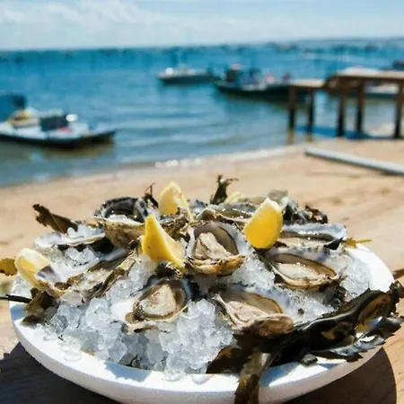Bassin D'arcachon: Maison Agreable Avec Jardin! Tatil Evi *